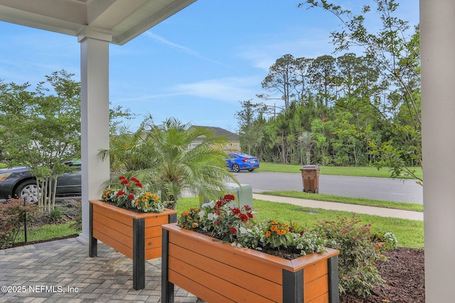 181 Lamego Ln, Saint Augustine, FL 32095 - view of yard