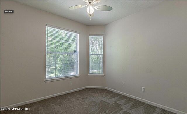 7801 Point Meadows Dr Unit 1108, Jacksonville, FL 32256 - unfurnished room with baseboards, a wealth of natural light, carpet flooring, and ceiling fan