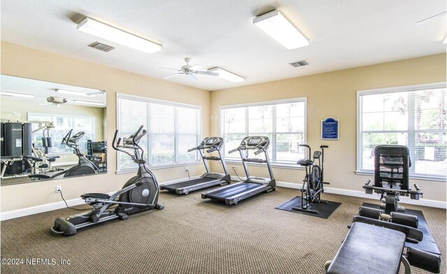 7801 Point Meadows Dr Unit 1108, Jacksonville, FL 32256 - exercise room with visible vents, a ceiling fan, and a healthy amount of sunlight