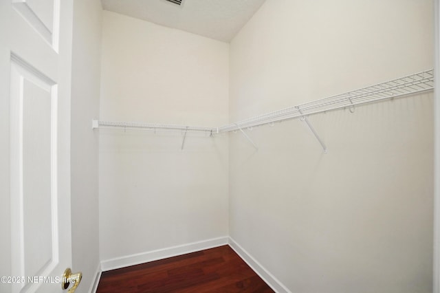 5279 Cattle Crossing Way, Jacksonville, FL 32226 - walk in closet featuring dark wood-type flooring