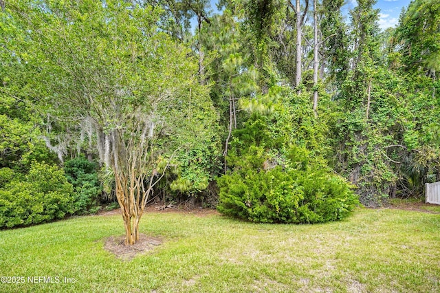 5279 Cattle Crossing Way, Jacksonville, FL 32226 - view of yard