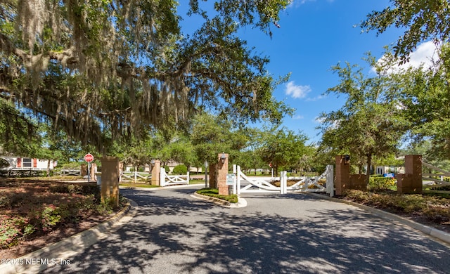 5279 Cattle Crossing Way, Jacksonville, FL 32226 - view of road with a gated entry, a gate, and curbs