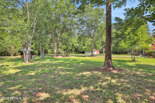 12602 Wimica Ln, Jacksonville, FL 32218 - view of grassy yard