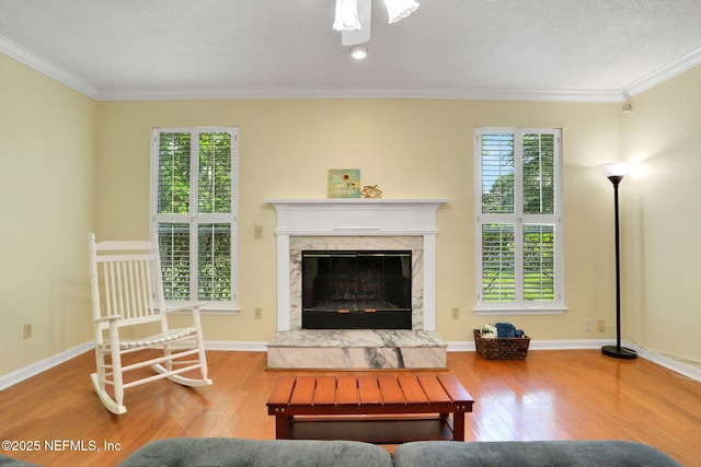 12602 Wimica Ln, Jacksonville, FL 32218 - living area featuring wood finished floors, ornamental molding, baseboards, and a fireplace