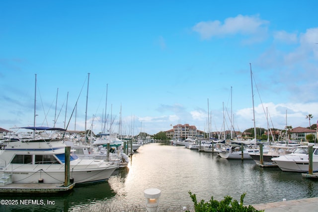 dock area featuring a water view