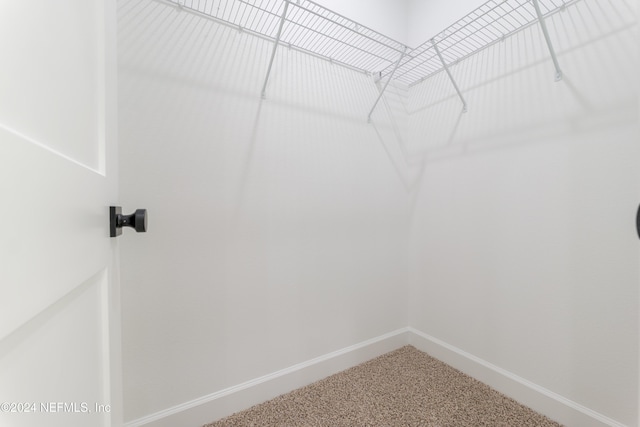 walk in closet with carpet flooring