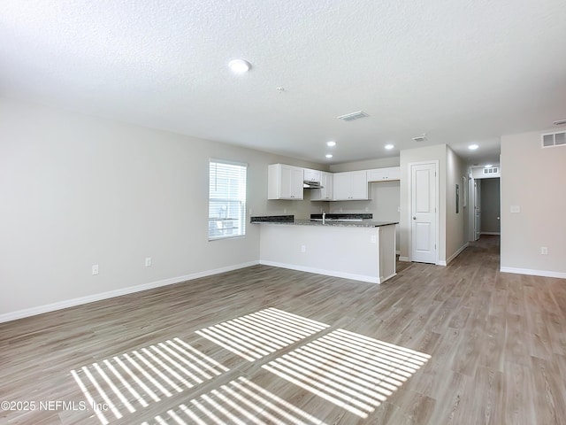 11462 Oakfield Ct, Jacksonville, FL 32258 - unfurnished living room with light wood finished floors, baseboards, a textured ceiling, recessed lighting, and a sink