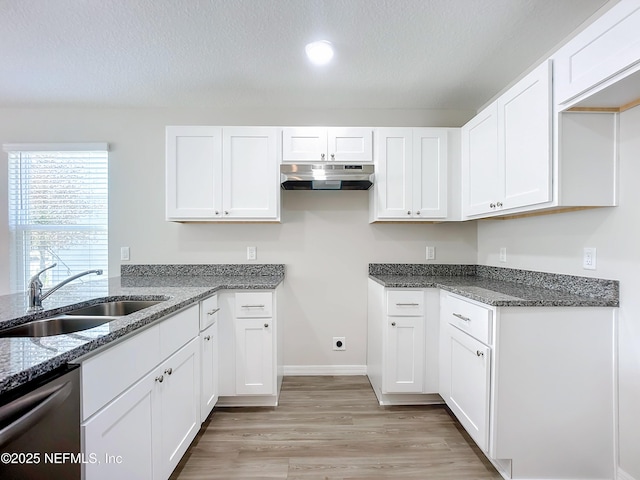 11462 Oakfield Ct, Jacksonville, FL 32258 - kitchen with a sink, dark stone counters, under cabinet range hood, stainless steel dishwasher, and light wood-style floors