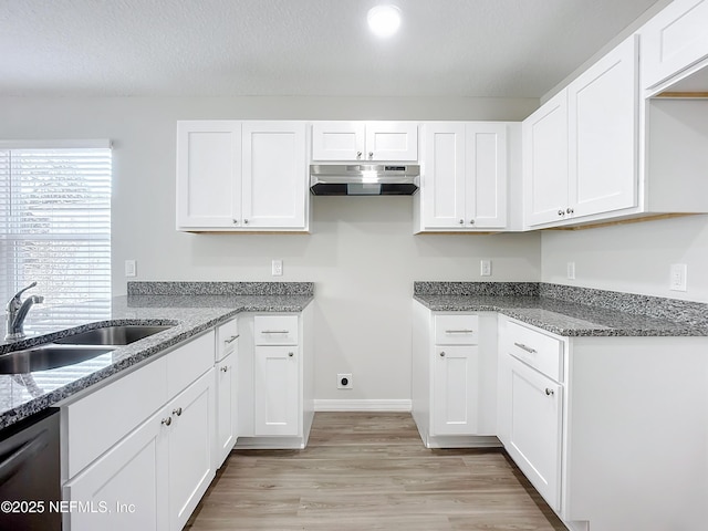 11462 Oakfield Ct, Jacksonville, FL 32258 - kitchen with under cabinet range hood, white cabinetry, light stone counters, and a sink