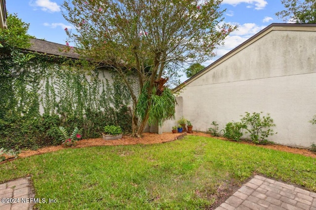 2537 Dauphine Ct E, Ponte Vedra Beach, FL 32082 - view of grassy yard