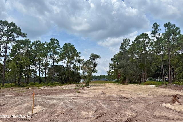 4572 Rose Glen Dr, Jacksonville, FL 32224 - photo 7