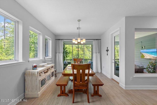 169 Rivercliff Trl, Saint Augustine, FL 32092 - dining room with a chandelier, baseboards, and light wood-type flooring