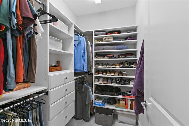 169 Rivercliff Trl, Saint Augustine, FL 32092 - view of walk in closet