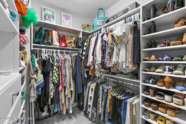 169 Rivercliff Trl, Saint Augustine, FL 32092 - view of walk in closet
