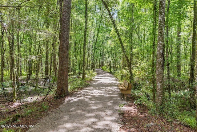 169 Rivercliff Trl, Saint Augustine, FL 32092 - view of street with a forest view