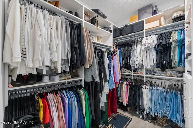 11698 Donato Dr, Jacksonville, FL 32226 - view of spacious closet