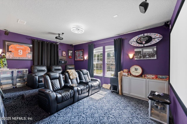 11698 Donato Dr, Jacksonville, FL 32226 - cinema room with a textured ceiling