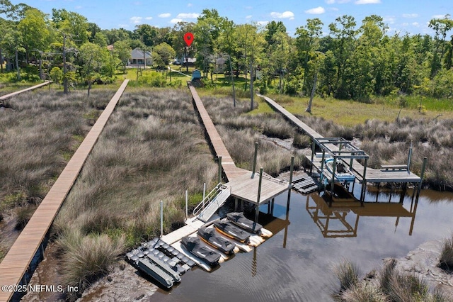 11698 Donato Dr, Jacksonville, FL 32226 - dock featuring boat lift and a water view