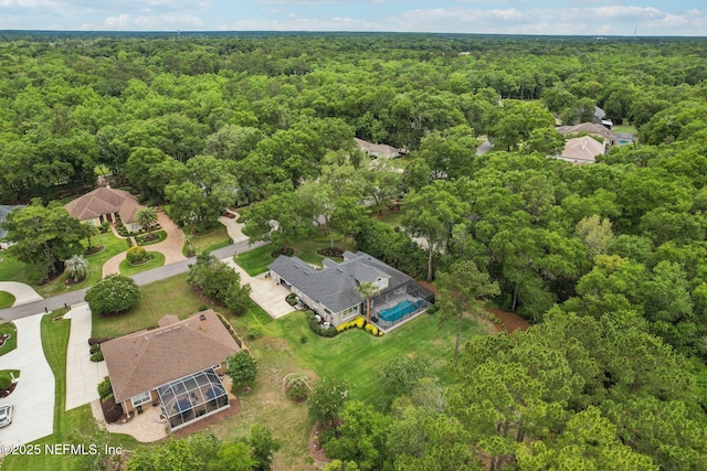 bird's eye view of a forest