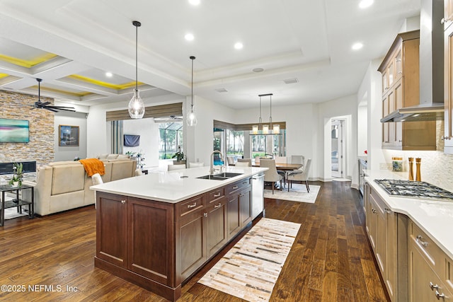 120 Hallowes Cv, Saint Johns, FL 32259 - kitchen with a sink, appliances with stainless steel finishes, wall chimney exhaust hood, dark wood-style flooring, and light countertops