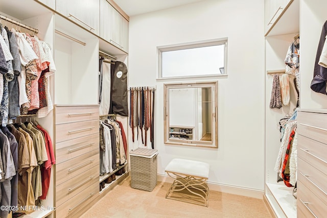 120 Hallowes Cv, Saint Johns, FL 32259 - view of spacious closet