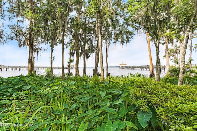120 Hallowes Cv, Saint Johns, FL 32259 - water view