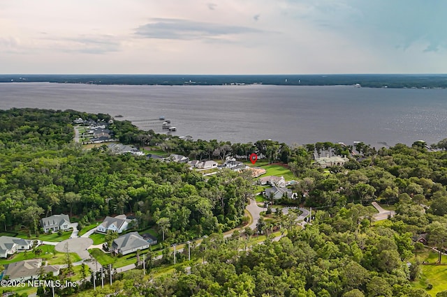 120 Hallowes Cv, Saint Johns, FL 32259 - aerial view of property's location featuring a large body of water