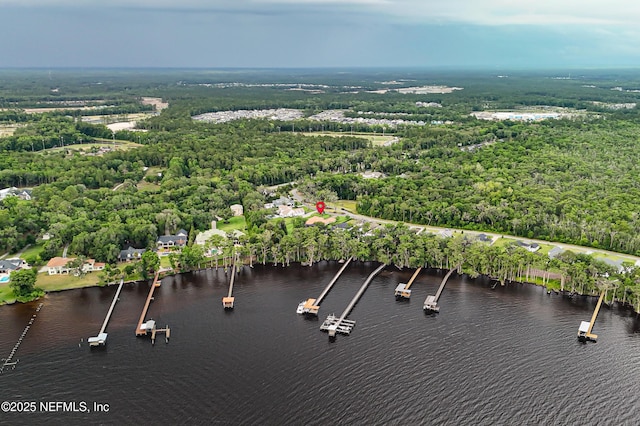 120 Hallowes Cv, Saint Johns, FL 32259 - drone / aerial view of a nearby body of water and a forest