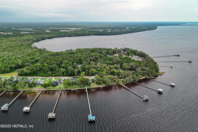 120 Hallowes Cv, Saint Johns, FL 32259 - aerial view of a large body of water and a heavily wooded area