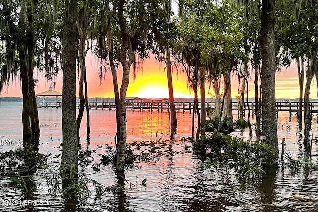 120 Hallowes Cv, Saint Johns, FL 32259 - water view