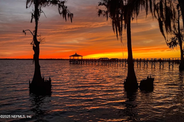 120 Hallowes Cv, Saint Johns, FL 32259 - water view