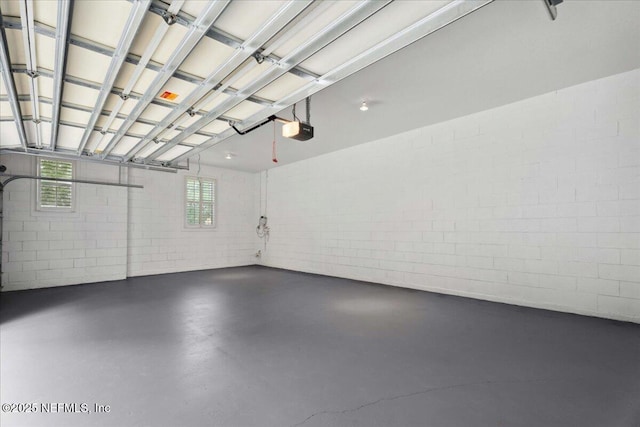 3357 Pegaso Ave, New Smyrna Beach, FL 32168 - garage with a garage door opener and concrete block wall