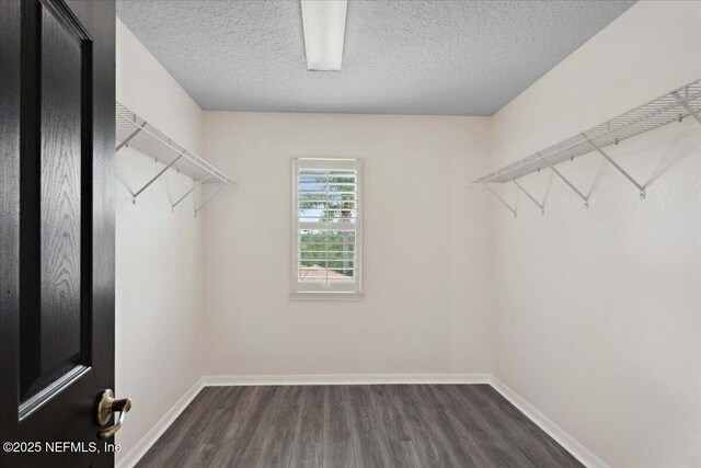 3357 Pegaso Ave, New Smyrna Beach, FL 32168 - spacious closet featuring dark wood-style flooring