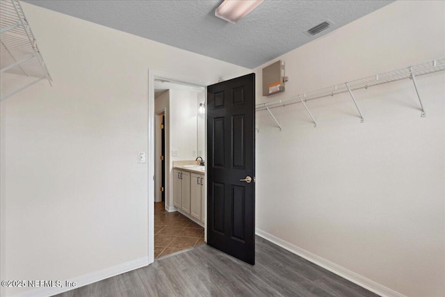 3357 Pegaso Ave, New Smyrna Beach, FL 32168 - spacious closet featuring a sink and wood finished floors