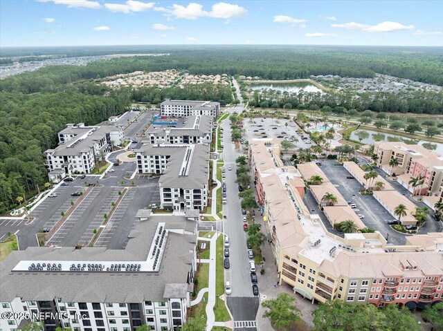 3357 Pegaso Ave, New Smyrna Beach, FL 32168 - aerial view of a forest and a large body of water