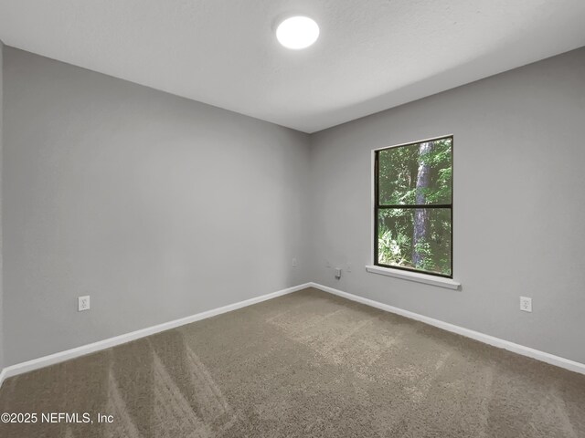 8513 Star Leaf Ct, Jacksonville, FL 32210 - photo 19