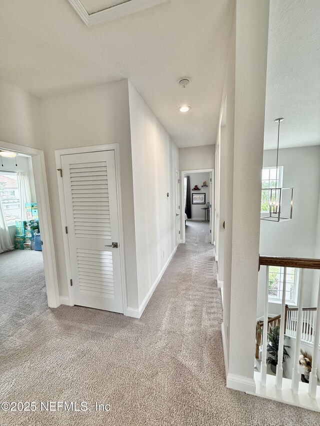 12715 Laurel Bay Dr, Jacksonville, FL 32246 - photo 36