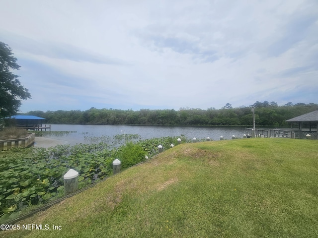 435 Lake Asbury Dr, Green Cove Springs, FL 32043 - photo 48