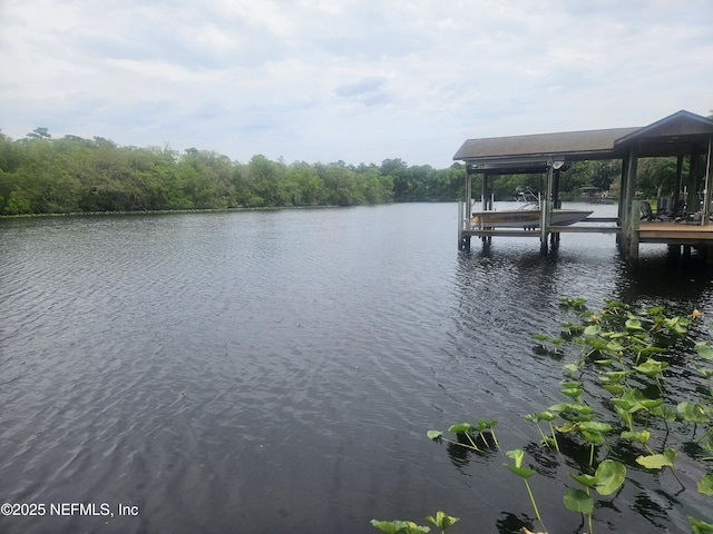 435 Lake Asbury Dr, Green Cove Springs, FL 32043 - photo 7