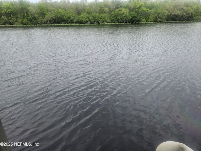 435 Lake Asbury Dr, Green Cove Springs, FL 32043 - photo 5