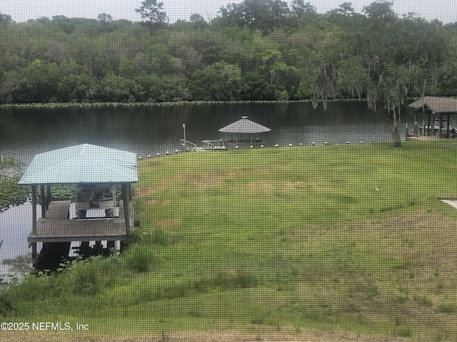 435 Lake Asbury Dr, Green Cove Springs, FL 32043 - photo 11