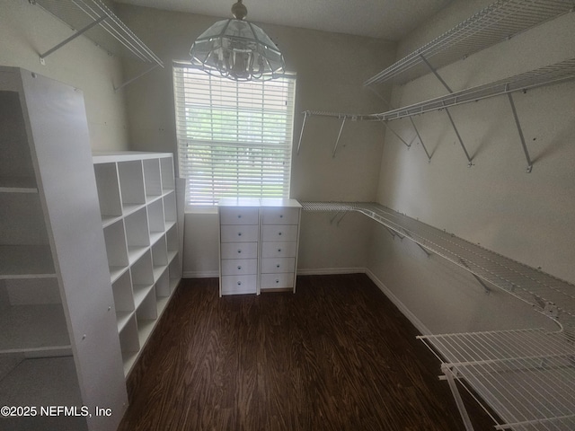 435 Lake Asbury Dr, Green Cove Springs, FL 32043 - photo 28