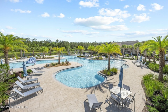 75556 Canterwood Dr, Yulee, FL 32097 - community pool with a patio