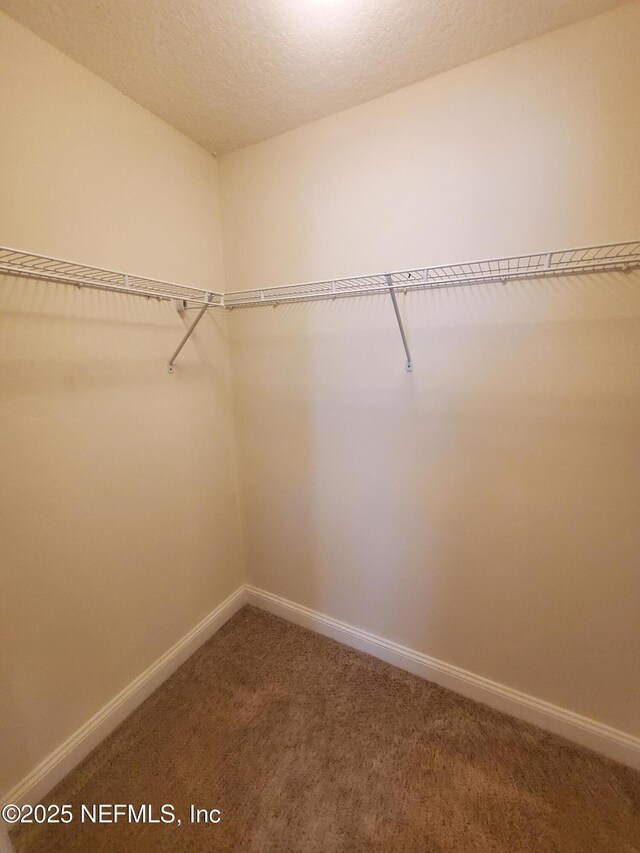 510 Meldrum Ln, Orange Park, FL 32065 - photo 18