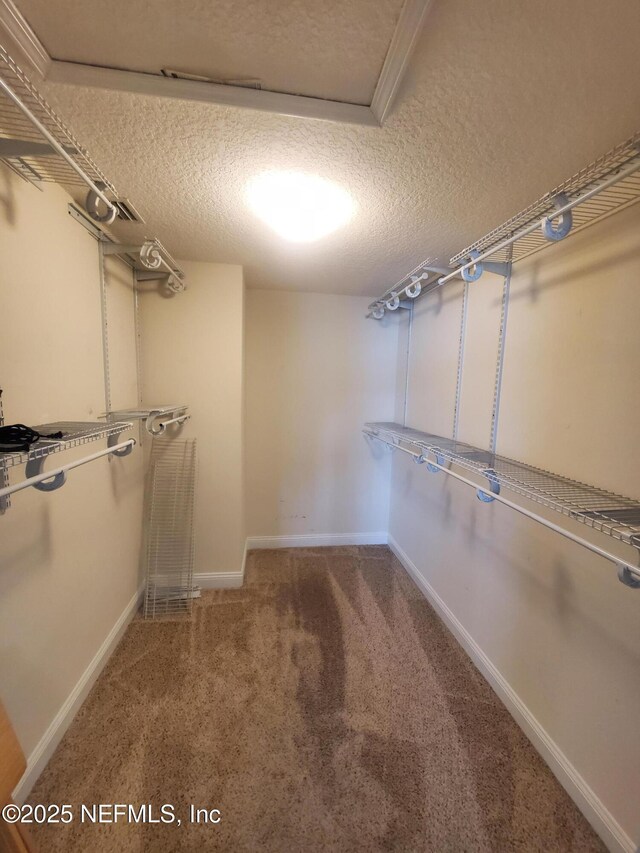510 Meldrum Ln, Orange Park, FL 32065 - photo 36