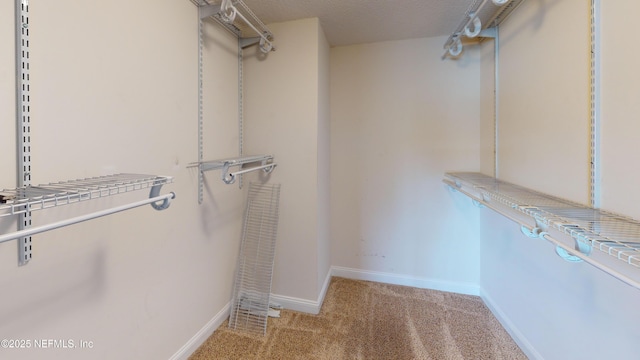510 Meldrum Ln, Orange Park, FL 32065 - photo 38