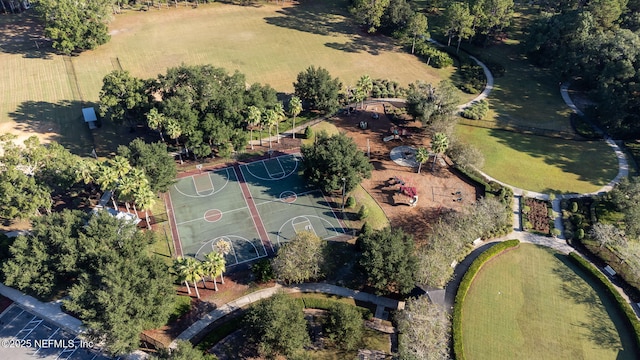 drone / aerial view