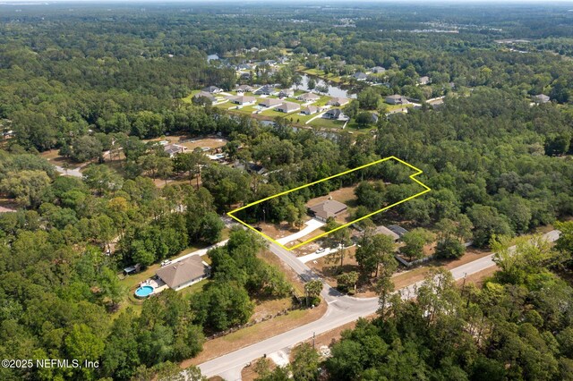 1309 Foxmeadow Trl, Middleburg, FL 32068 - aerial view of property's location with a heavily wooded area and property boundaries highlighted