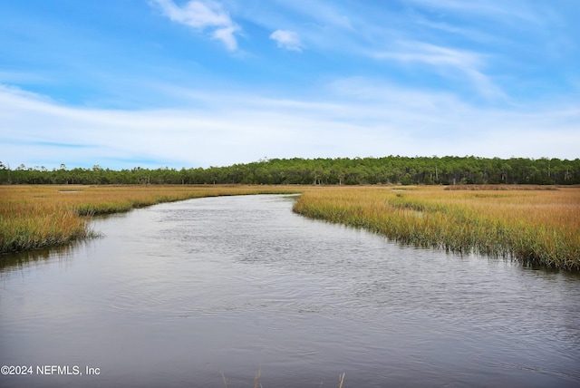 water view featuring a forest