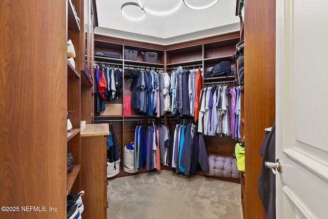 spacious closet featuring carpet flooring